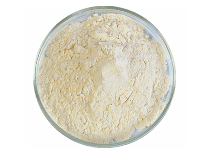 Cerium oxide nanoparticles